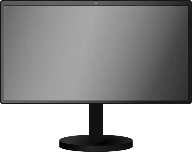 monitor