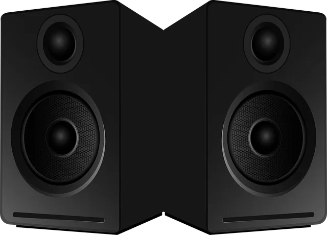 speaker